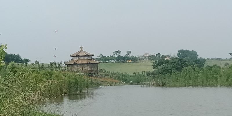 产地直销定做加工各类竹片，大棚竹片，西瓜大棚竹片，