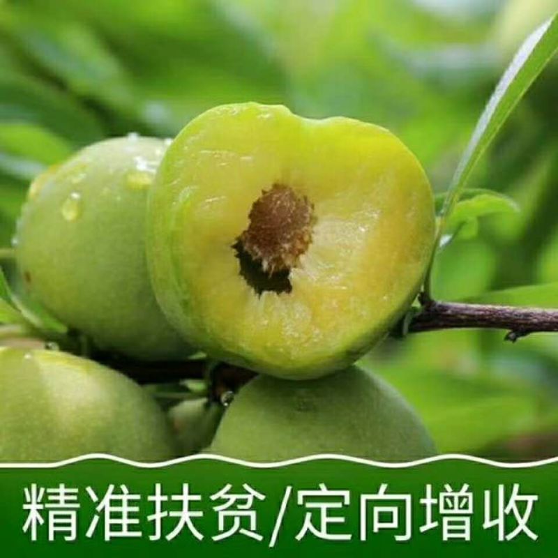 专业代办
