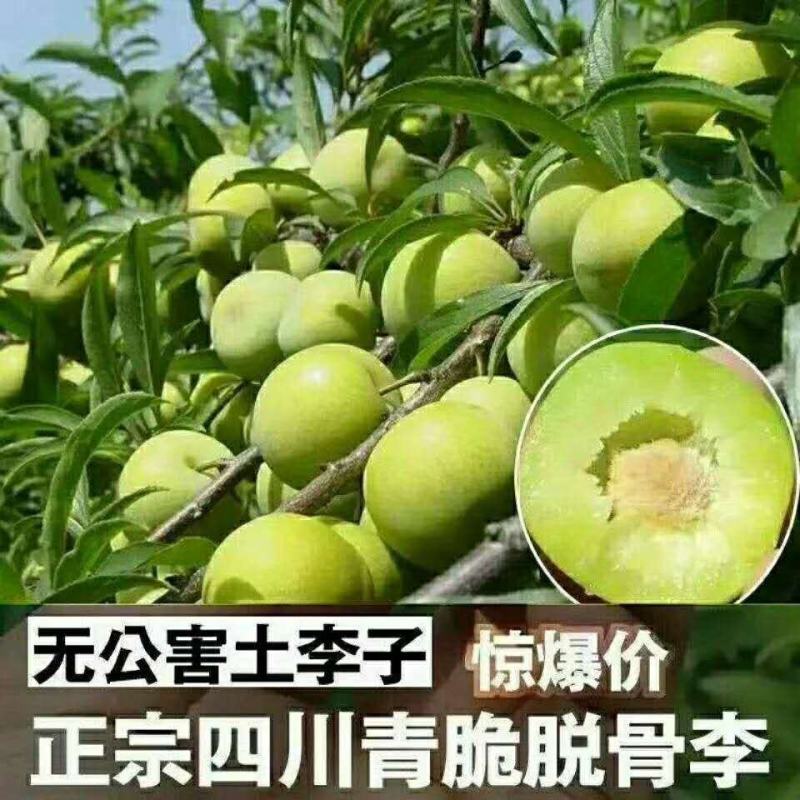 专业代办