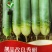 河南三系杂交水果萝卜种子秀丽表皮光滑肉色翠绿生食翠甜