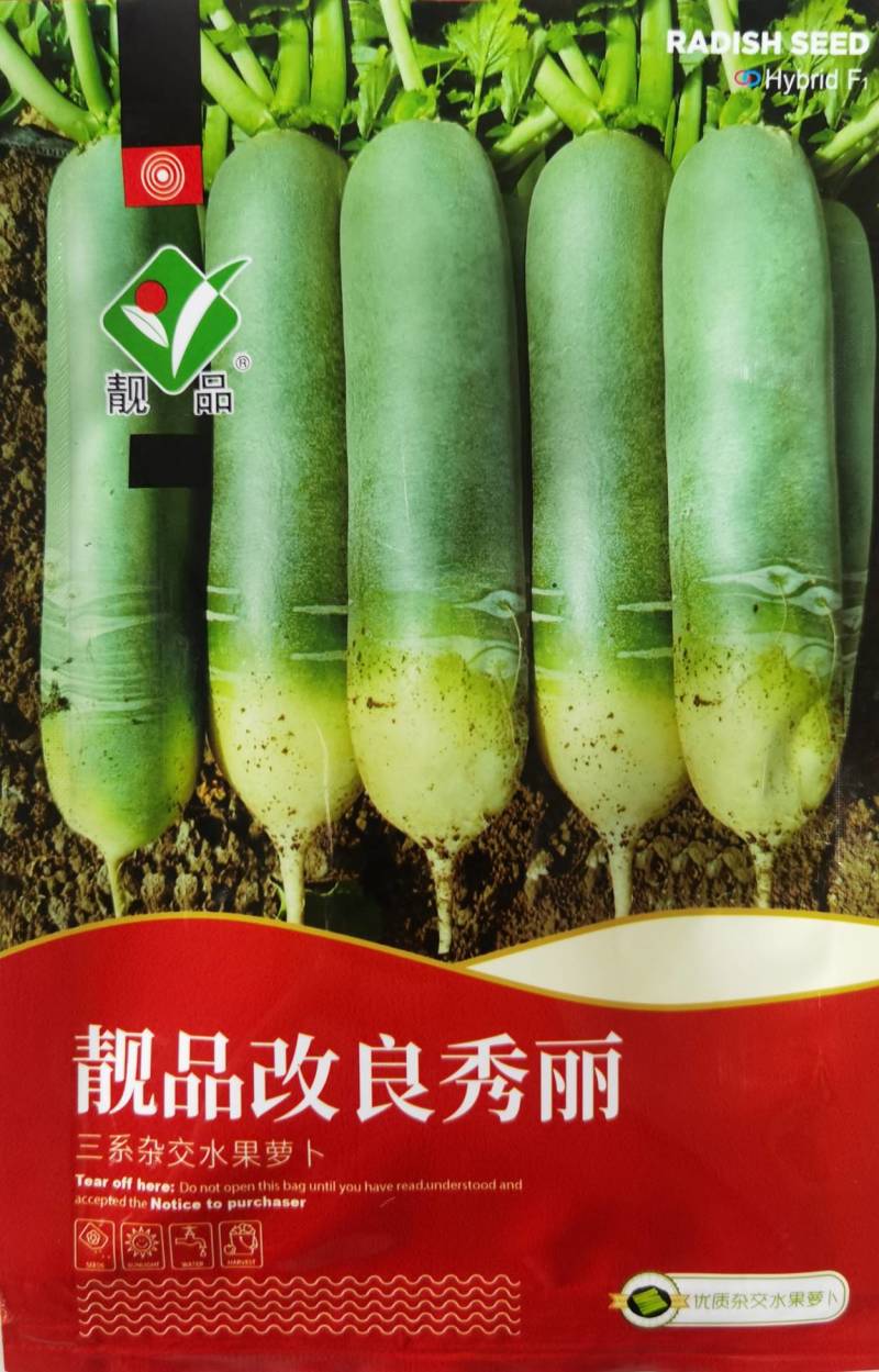 河南三系杂交水果萝卜种子秀丽表皮光滑肉色翠绿生食翠甜