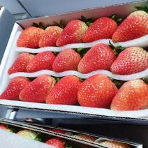 夏季草莓…自产自销都是当天采摘当天发货