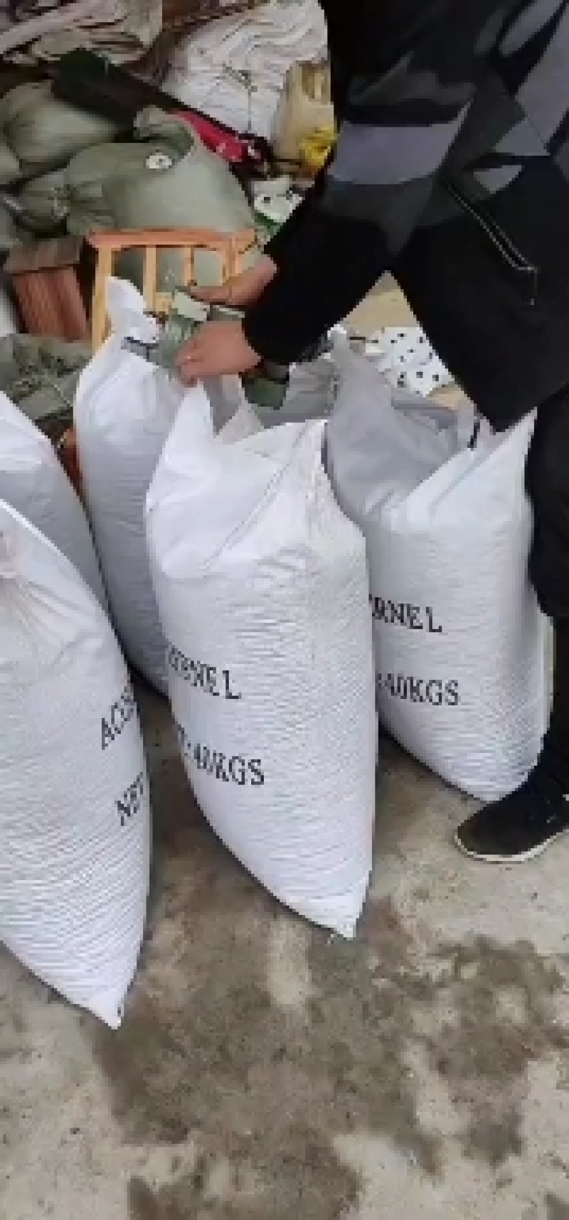 常年销售橡子种子，可长期供应做凉粉用的鲜橡子，干橡仁