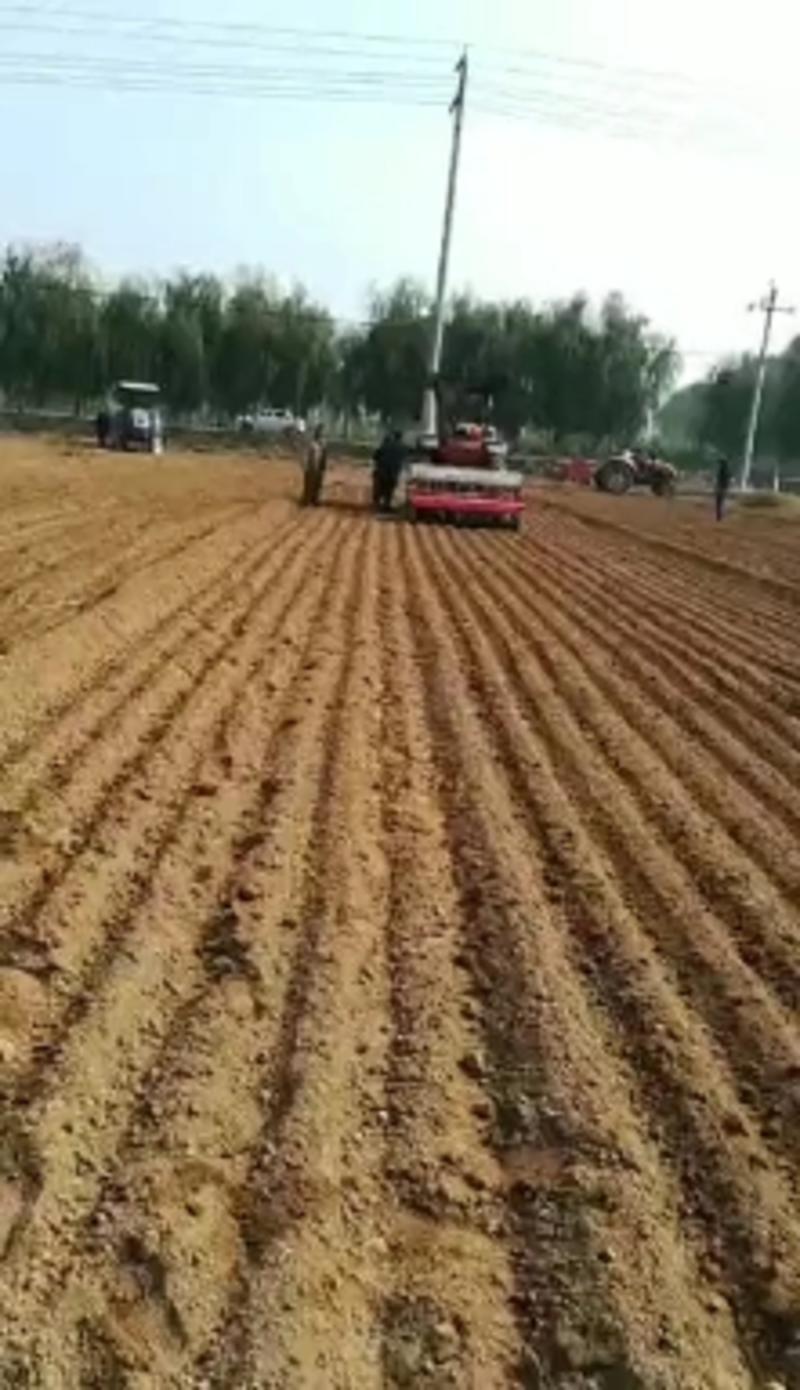 多功能小麦施肥播种一体机小麦水稻播种机四轮带小麦播种机