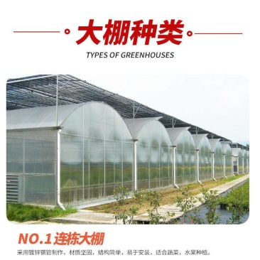 专业生产各种规格连栋温室大棚材料齐全包建