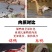 飞天小公野鸭