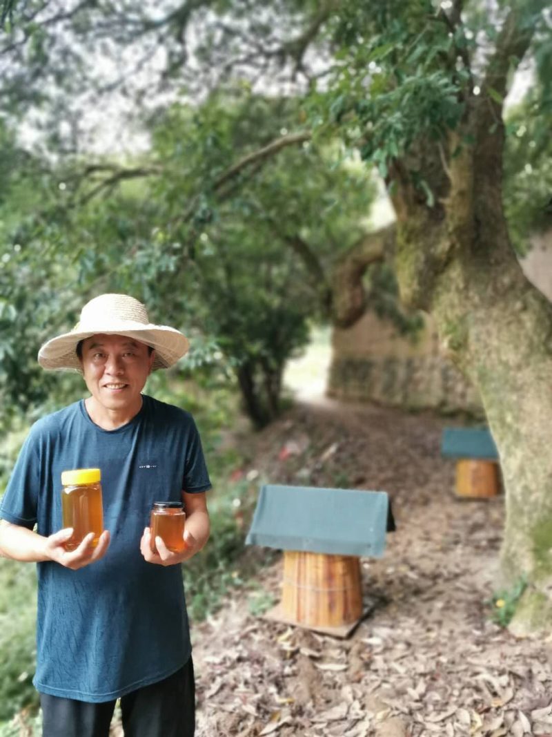 土蜂蜜纯正天然深山农家自产百花蜜正品真蜂蜜