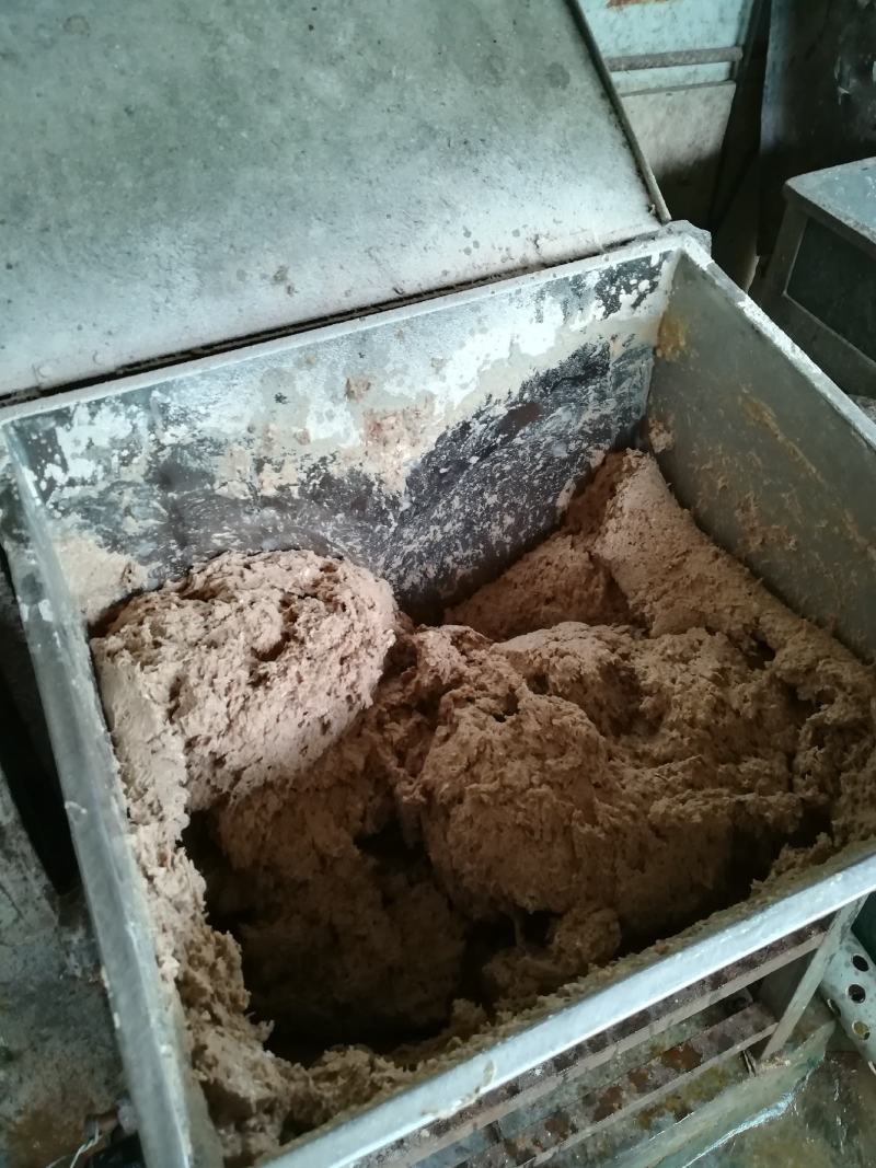 生态养殖外塘珍珠鳖美国甲鱼团鱼中华鳖黄沙鳖水鱼