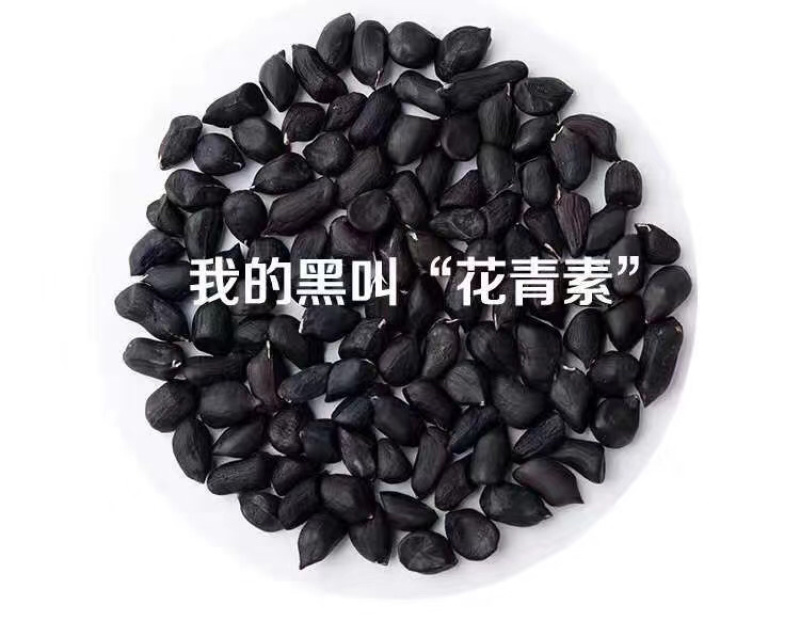 云南镇沅小粒黑花生米生吃甘甜也可做种子种植