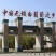 吐鲁番无核白葡萄（很甜的无核葡萄，糖分充足的特种葡萄）
