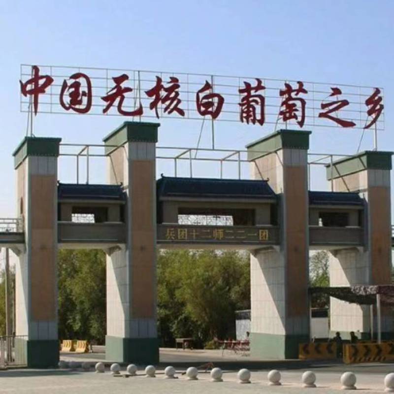 吐鲁番无核白葡萄（很甜的无核葡萄，糖分充足的特种葡萄）
