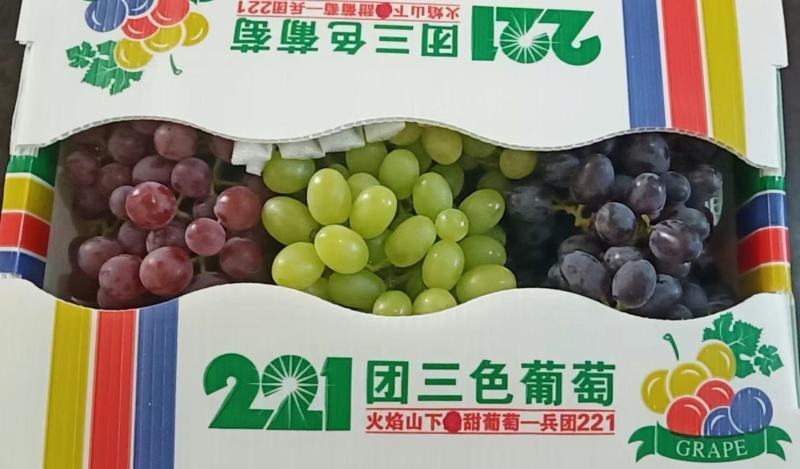 吐鲁番无核白葡萄（很甜的无核葡萄，糖分充足的特种葡萄）