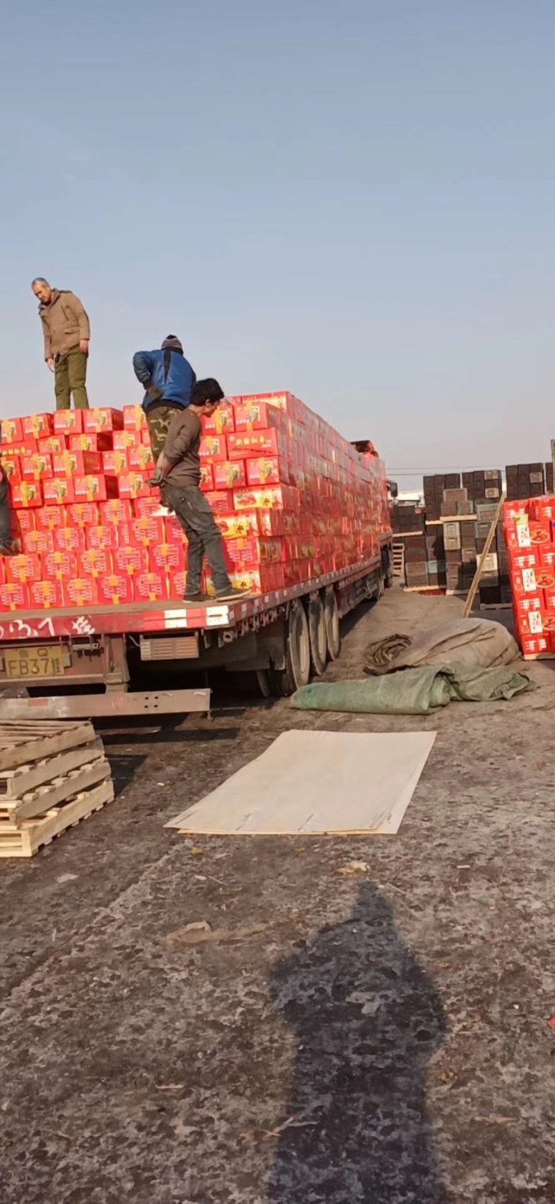灰枣大枣和田大枣干枣大枣规格品种齐全大量现货大量供应