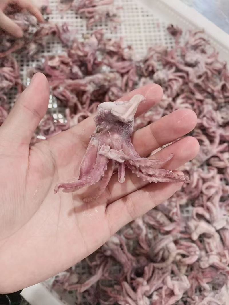 水产加工品