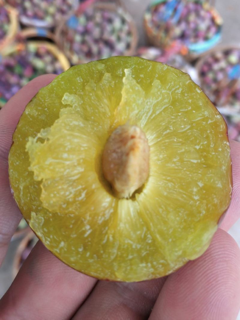 蜜饯李
