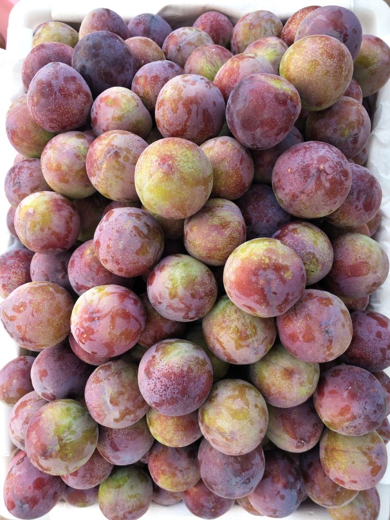 蜜饯李
