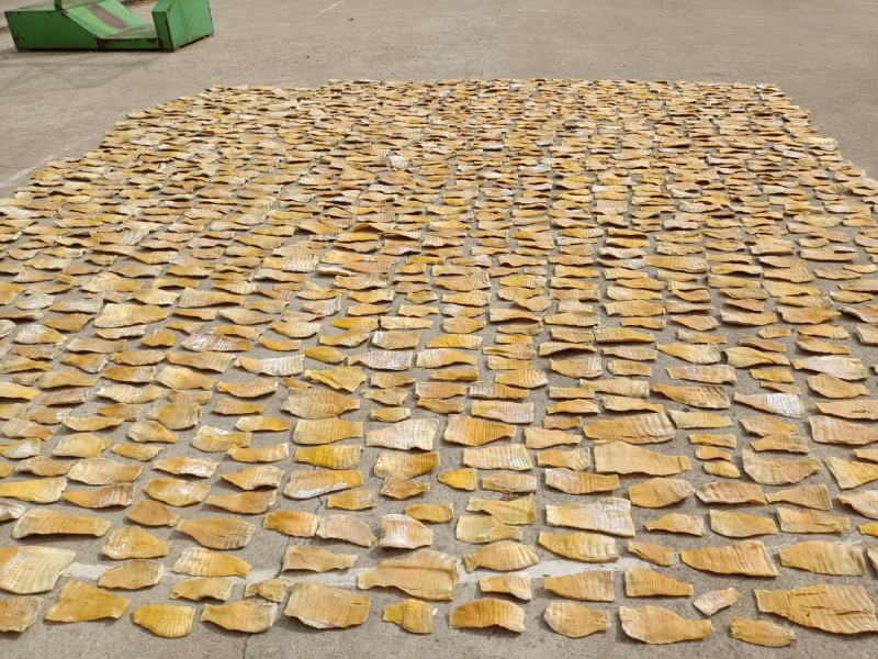 凤尾笋干新货嫩笋片笋干冬笋笋尖毛竹笋楠竹笋类食材量大批发