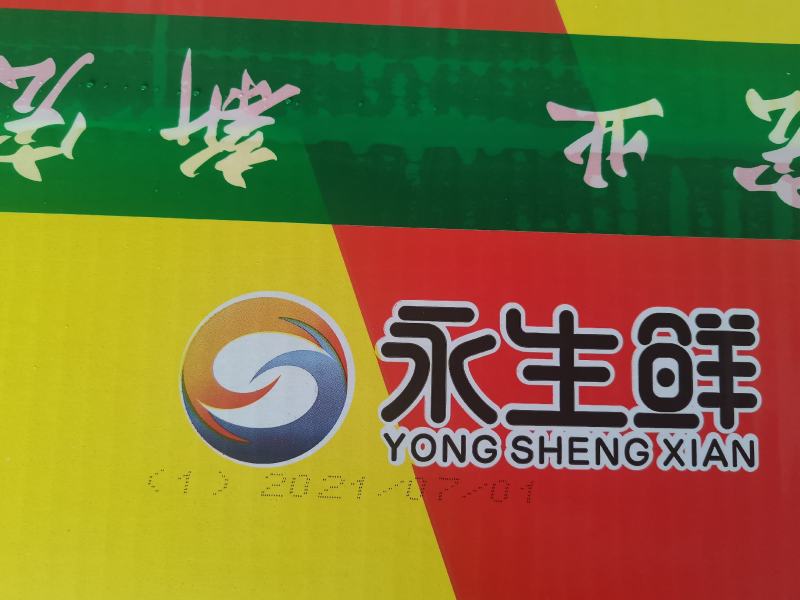 永生鲜特级龙虾尾