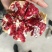 会理突尼斯软籽石榴精品果，籽软糯香甜，汁水如蜜