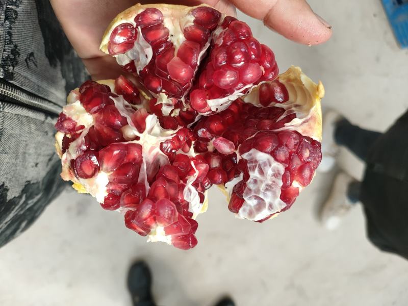 会理突尼斯软籽石榴精品果，籽软糯香甜，汁水如蜜