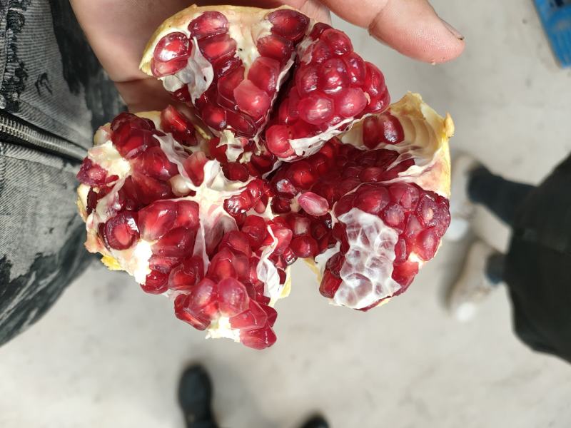 会理突尼斯软籽石榴精品果，籽软糯香甜，汁水如蜜