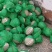 网纹，美华，网五，啊鲁斯等大量现货，对接电商团购批发商