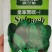 欧兰德皇家黑欧菠菜种子黑圆叶菠菜种抗病红根菠菜300克