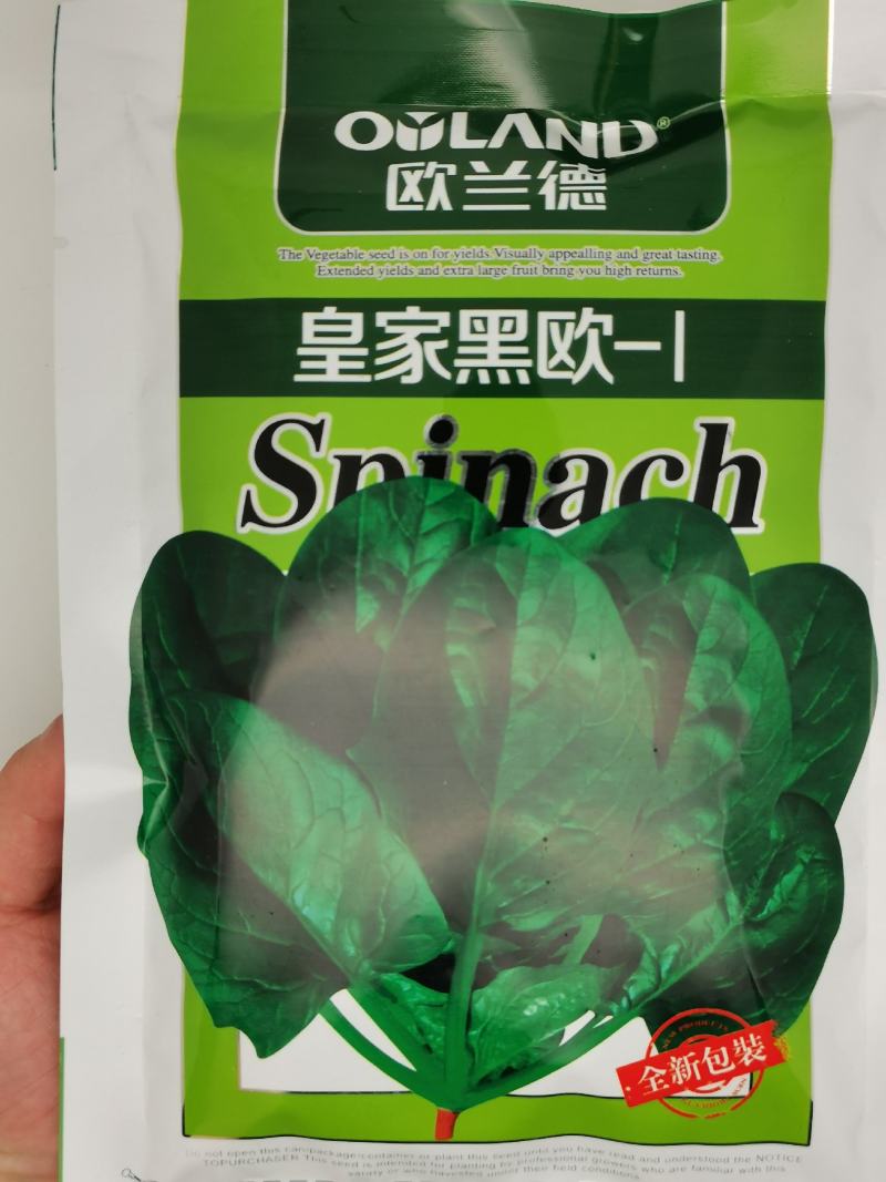 欧兰德皇家黑欧菠菜种子黑圆叶菠菜种抗病红根菠菜300克