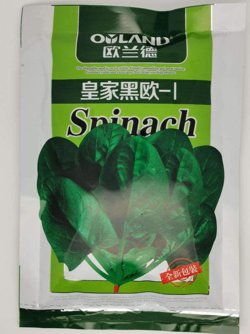 欧兰德皇家黑欧菠菜种子黑圆叶菠菜种抗病红根菠菜300克