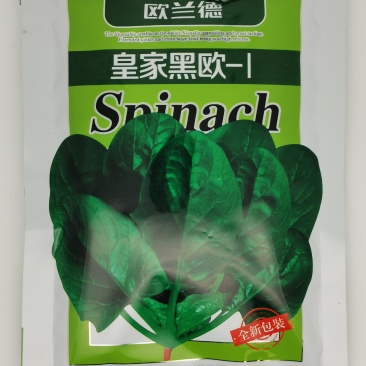 欧兰德皇家黑欧菠菜种子黑圆叶菠菜种抗病红根菠菜300克