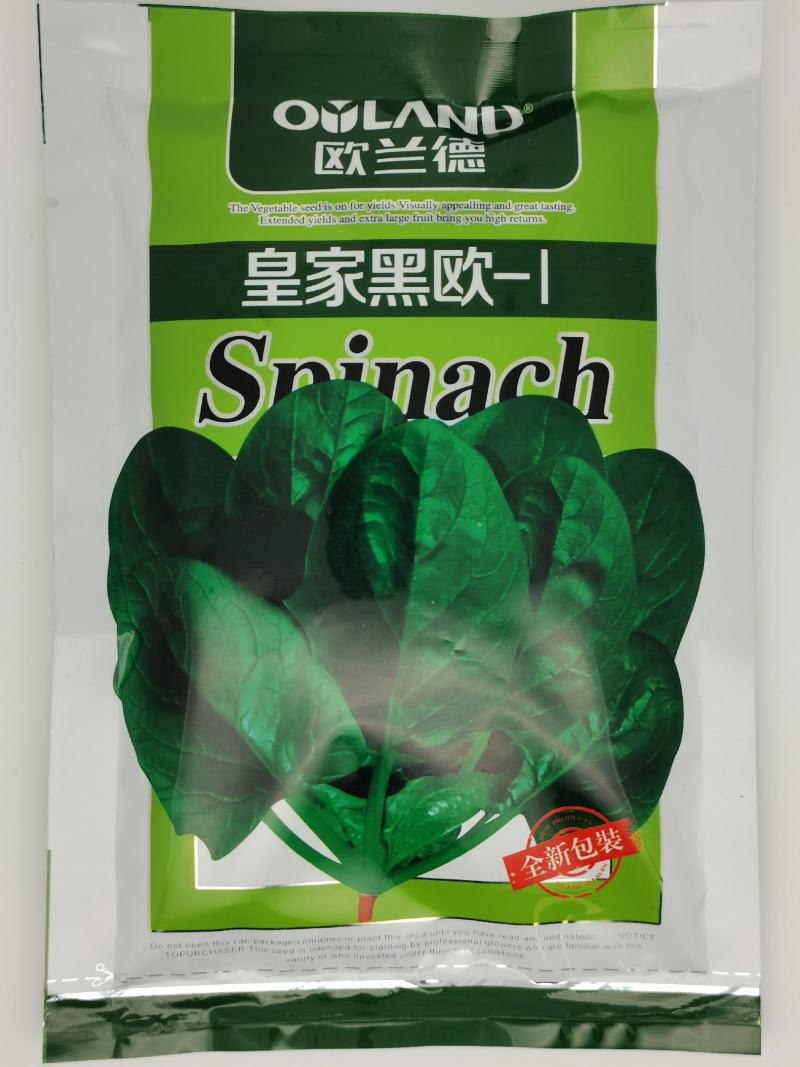 欧兰德皇家黑欧菠菜种子黑圆叶菠菜种抗病红根菠菜300克