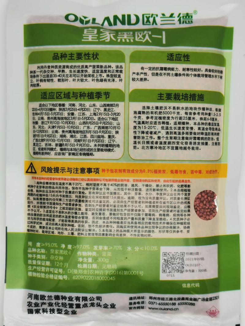 欧兰德皇家黑欧菠菜种子黑圆叶菠菜种抗病红根菠菜300克