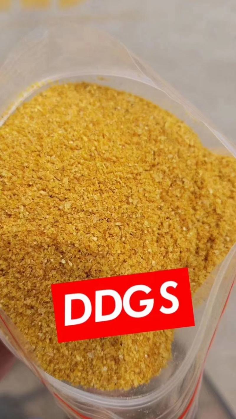 DDGS玉米酒糟，厂家直销，全国发货，诚信经营