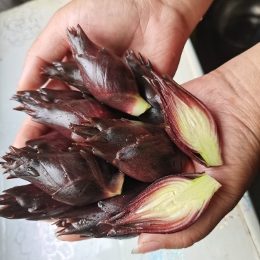 阳荷批发零售