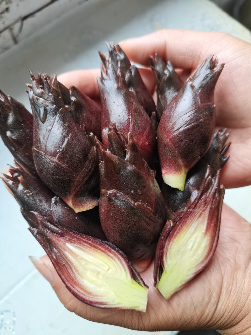 阳荷批发零售