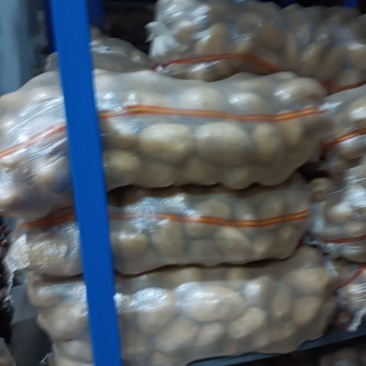 冷库土豆产地直发，大量供应一手货源，量大从优需要联系