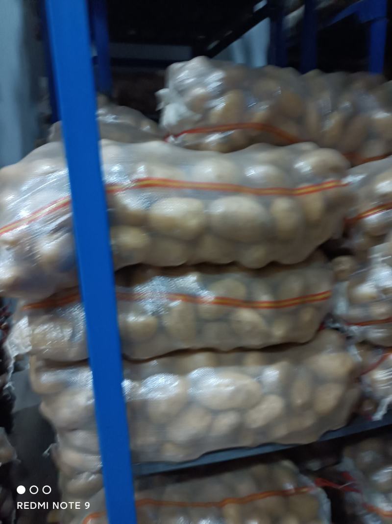 冷库土豆产地直发，大量供应一手货源，量大从优需要联系