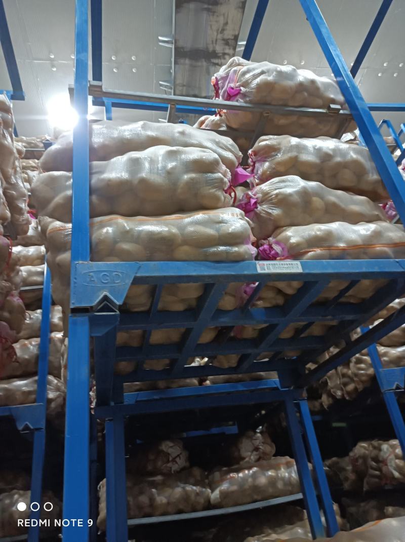冷库土豆产地直发，大量供应一手货源，量大从优需要联系