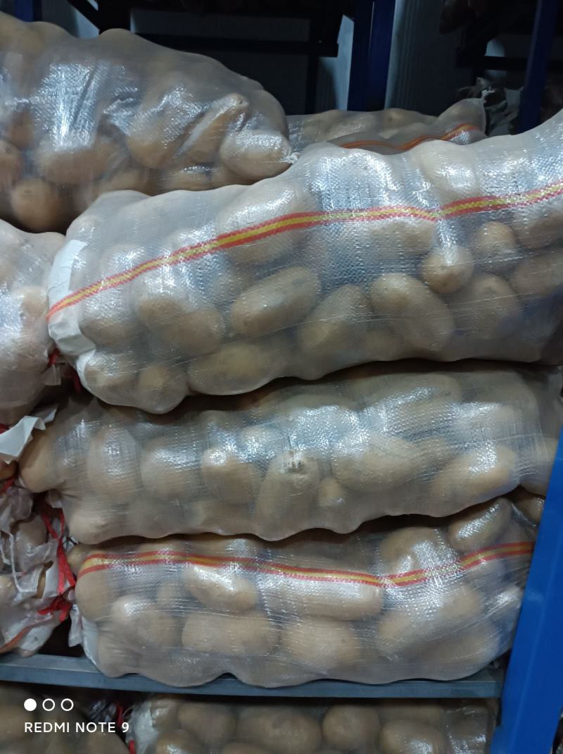 冷库土豆产地直发，大量供应一手货源，量大从优需要联系