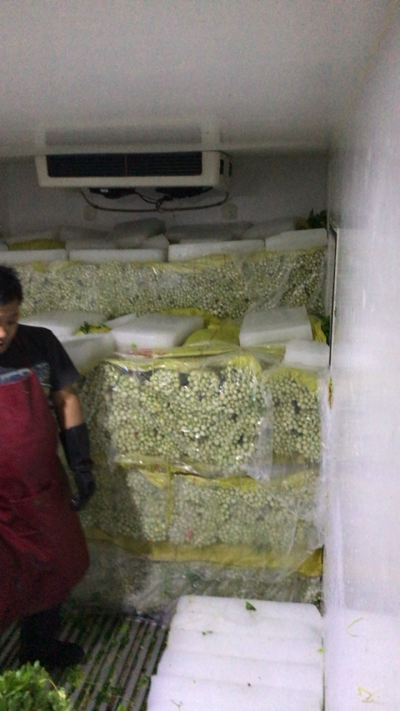 毛芹