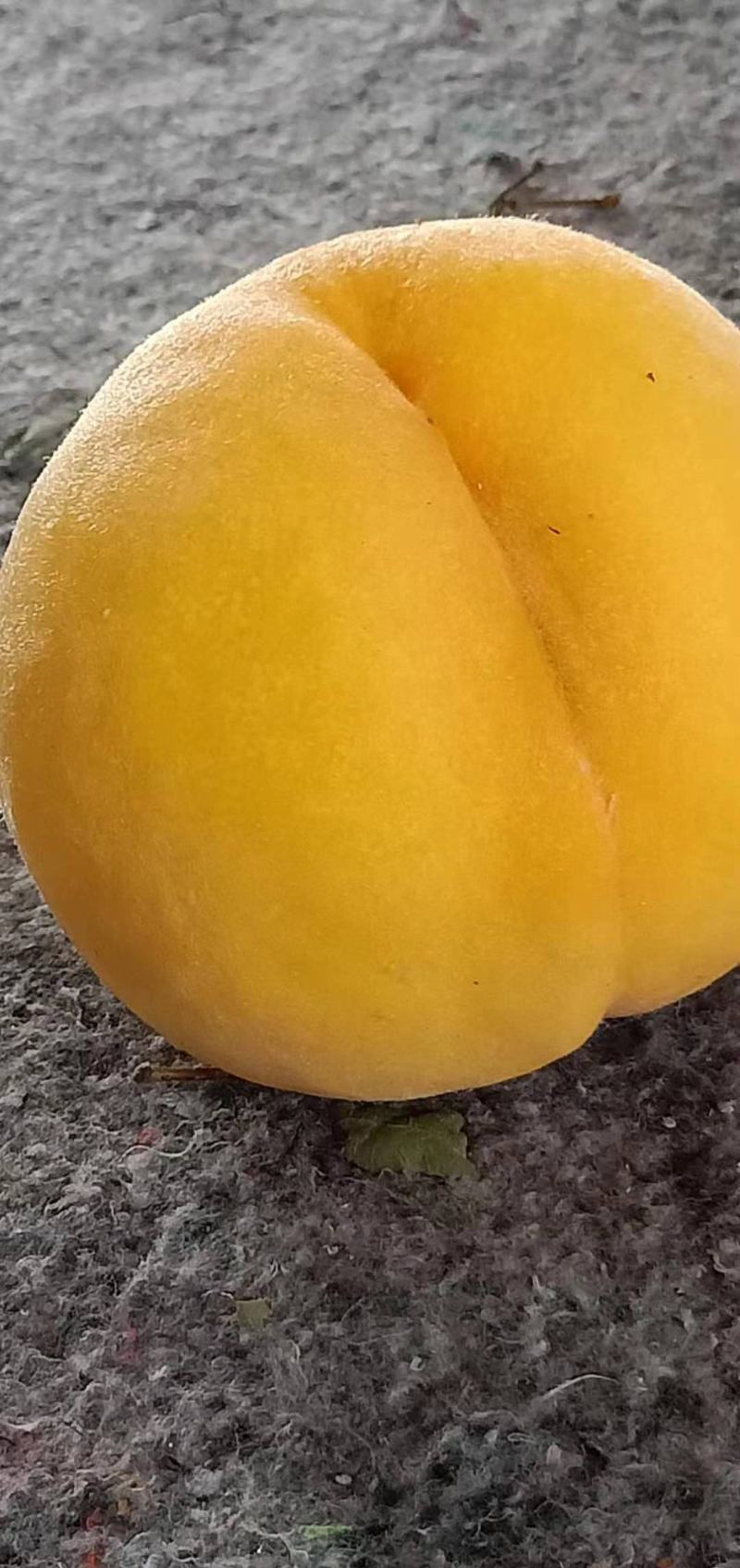 各种品牌桃子开始，陆续上市，口感好，品质好，需要的可联系