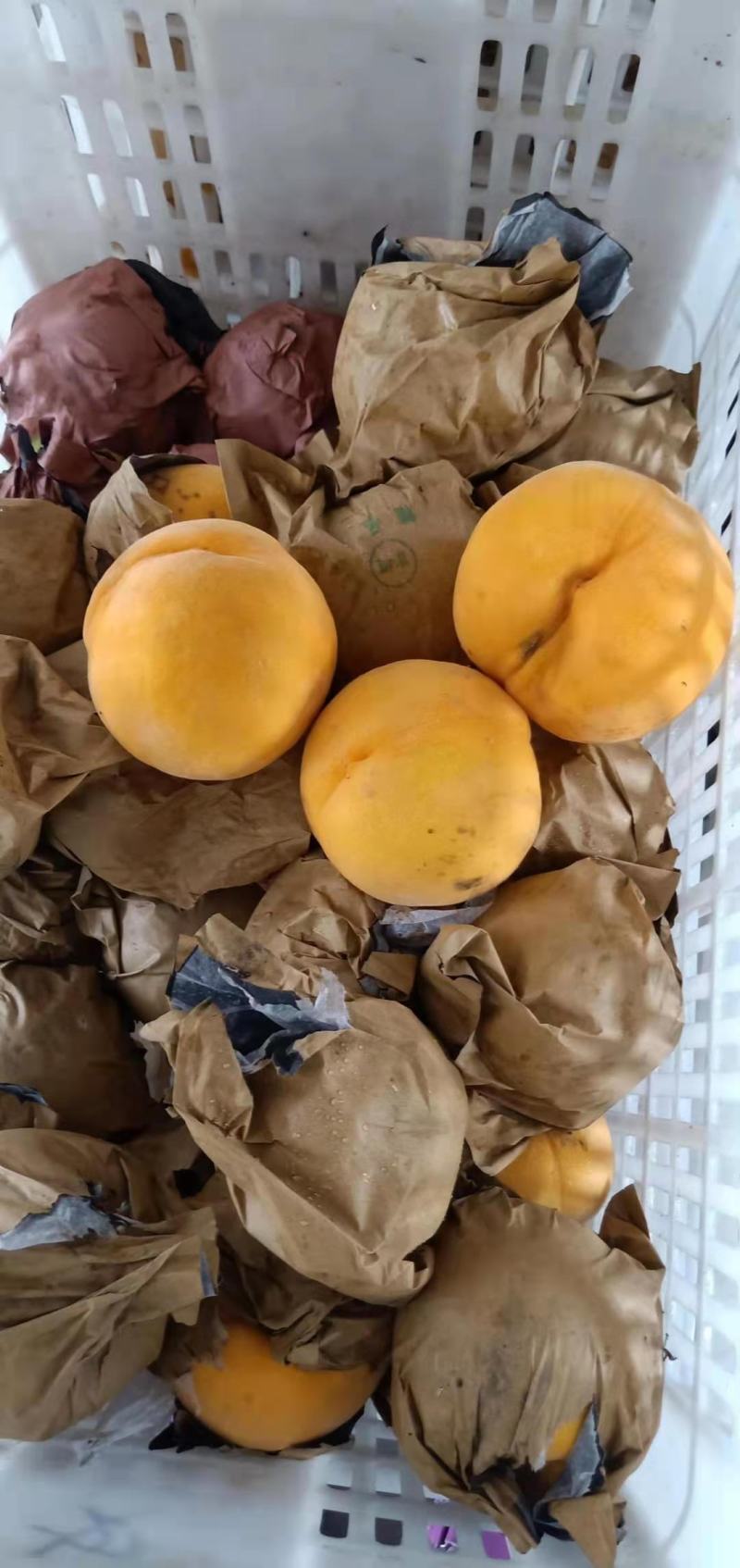 各种品牌桃子开始，陆续上市，口感好，品质好，需要的可联系