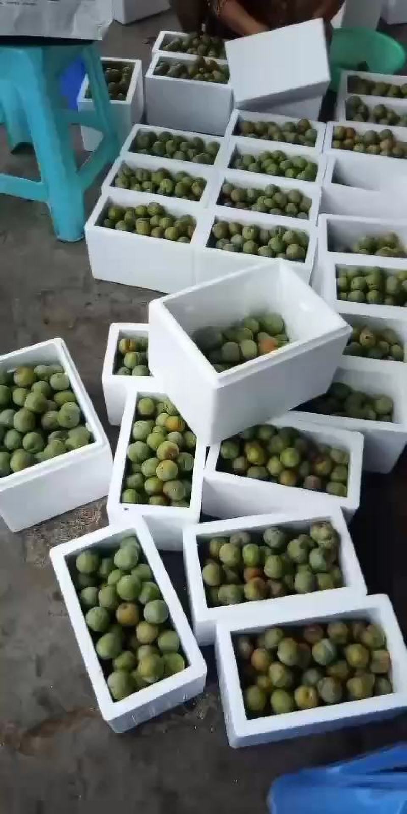 李子