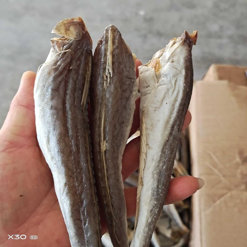 【热销】红娘鱼！腌制咸鱼干皮棍鱼产地直销常年有货一手货源