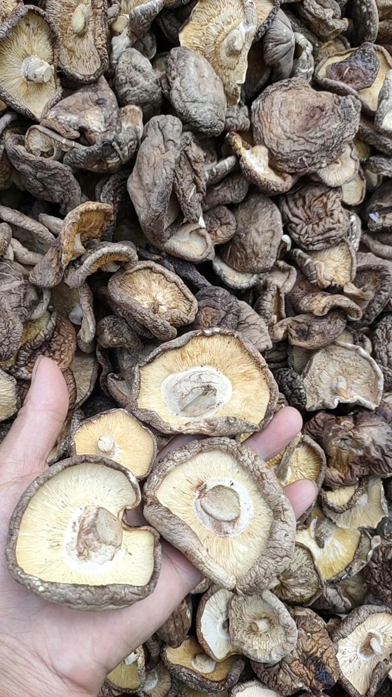 【干香菇便宜]产地源头干香菇_大小片菇、薄菇、厚菇、花菇