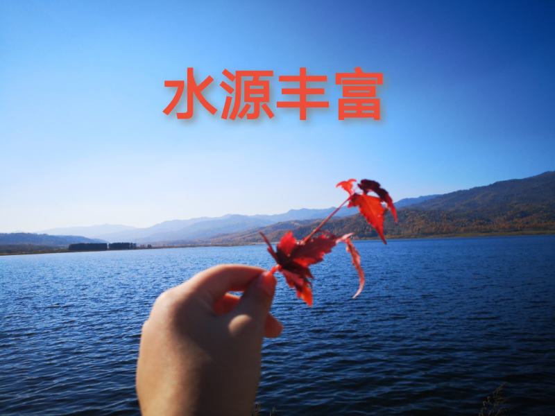 精选东北长粒香大米，产自黑龙江五常，食堂米，新米厂家批发