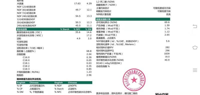 苜蓿2024年未开花紫花苜蓿