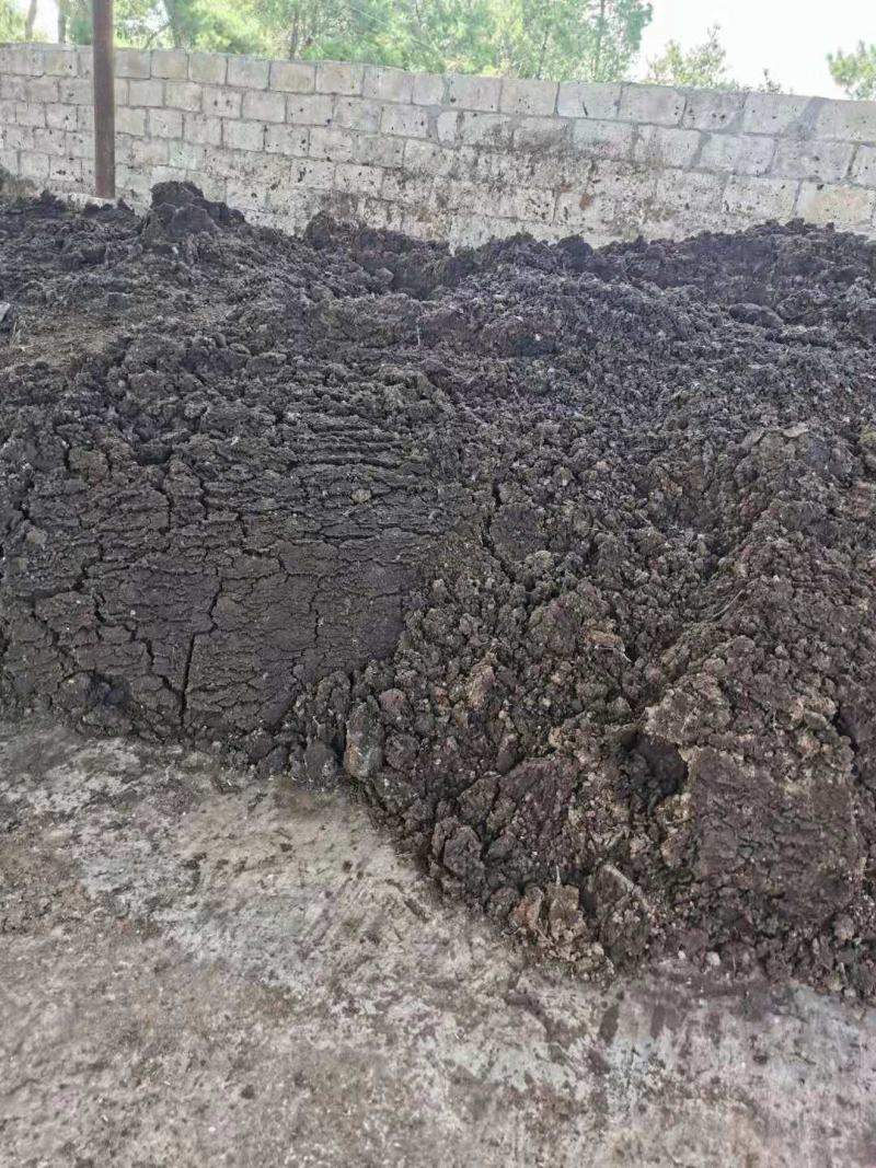 发酵纯鸡粪直接可用不烧根