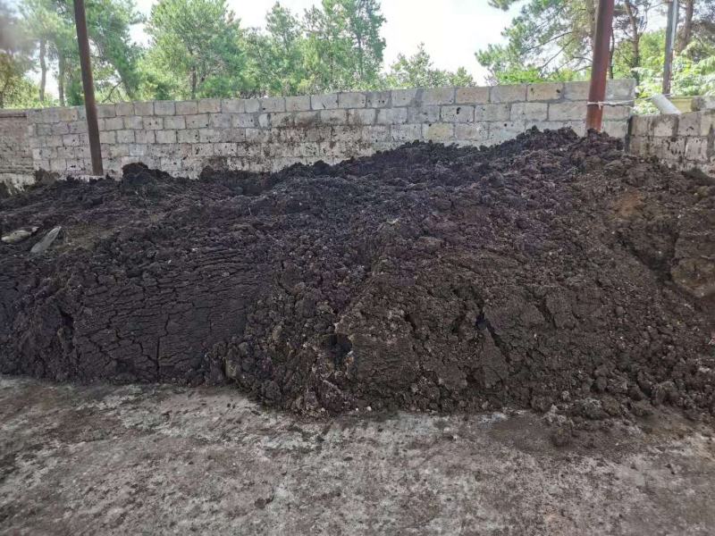 发酵纯鸡粪直接可用不烧根