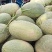 西州蜜25号大量上市